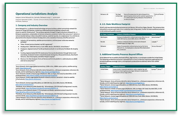 Sample 2bigthink compliance report document — placeholder visual